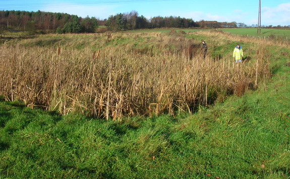Image of a field